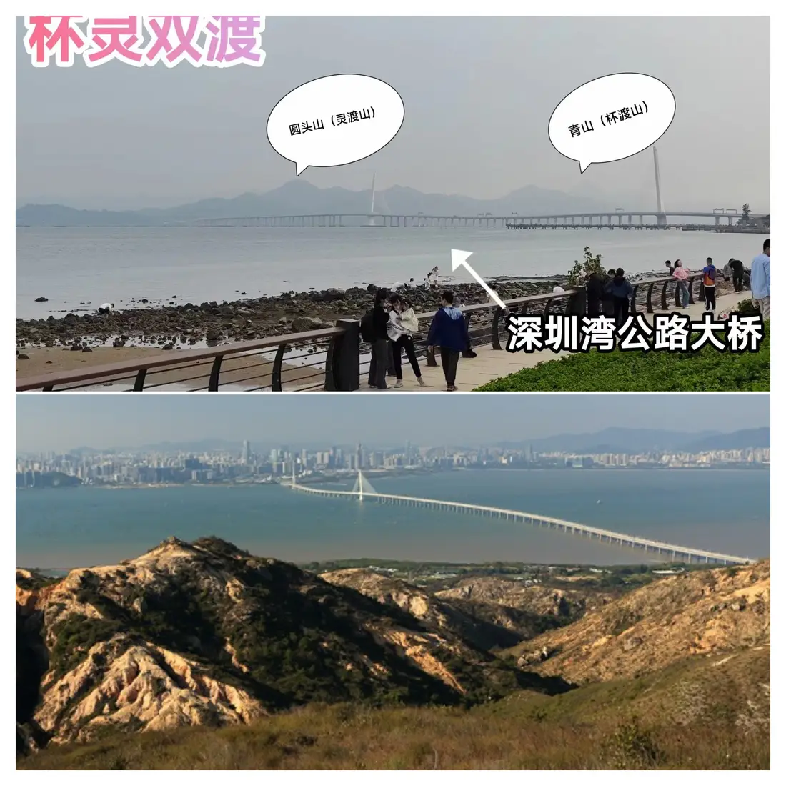 从对岸遥望深圳湾大桥