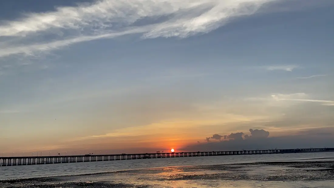 红树林公园海上日落