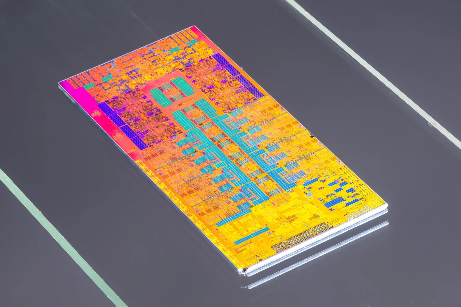 Real die shot of an Intel i9-13900K Raptor Lake