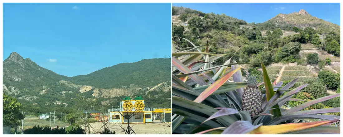 丫髻山的大菠萝和小菠萝