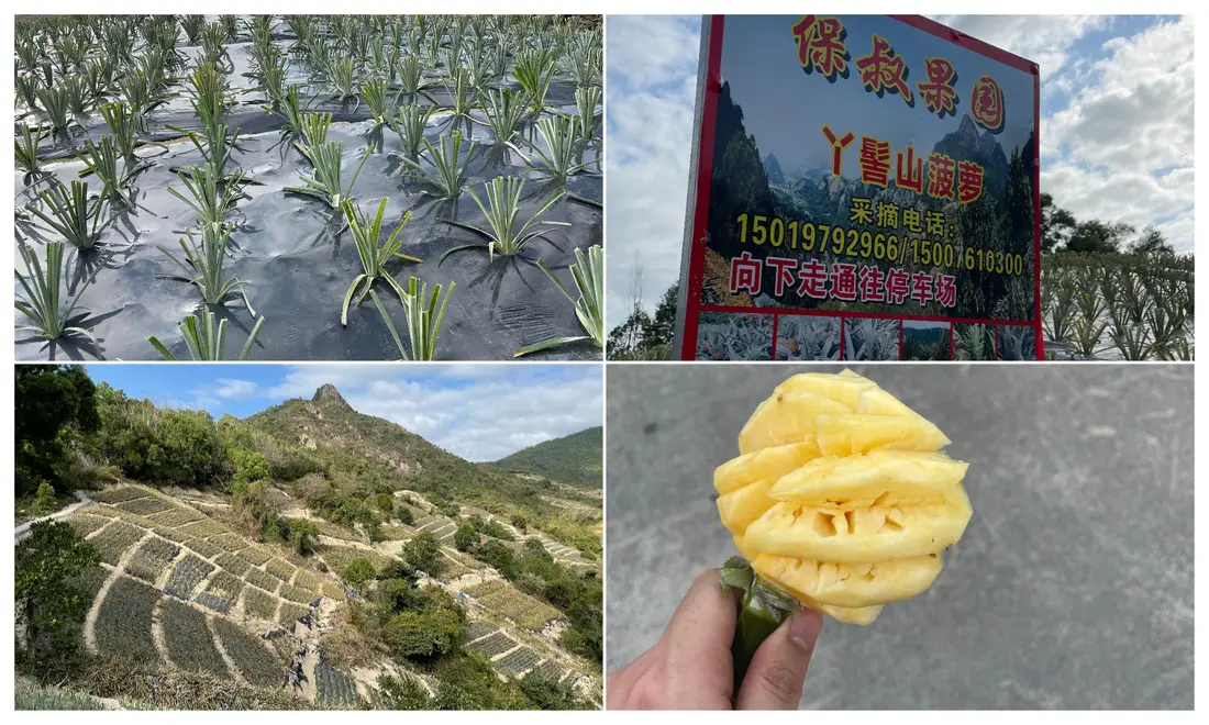 丫髻山山顶视野